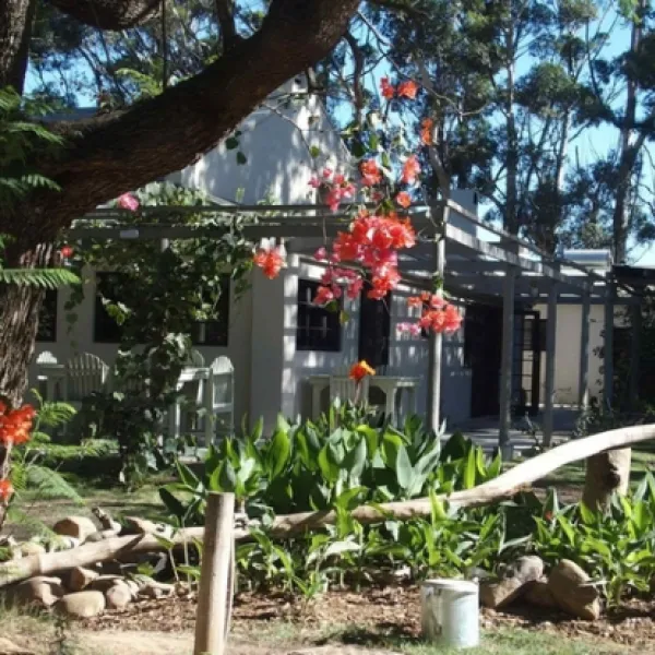 addo-african-home-addo-vi7er