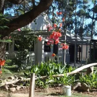 addo-african-home-addo-vi7er