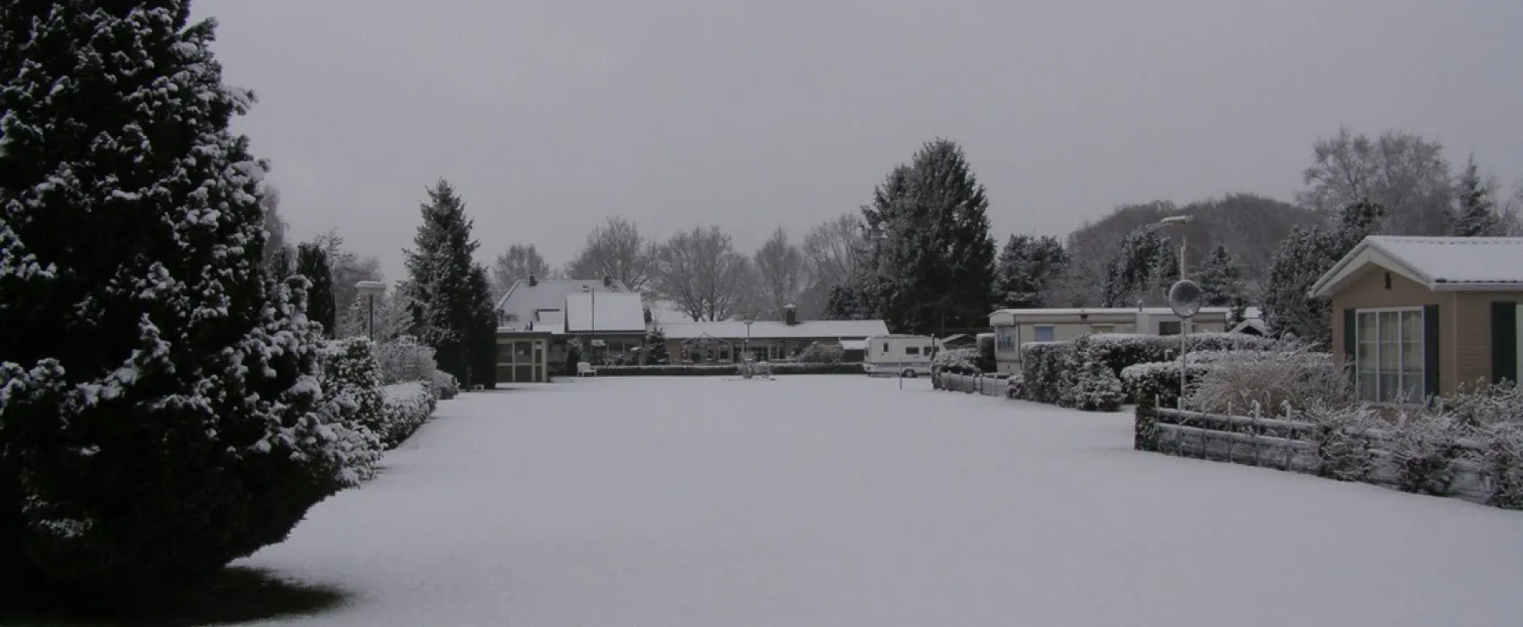 The White Horse