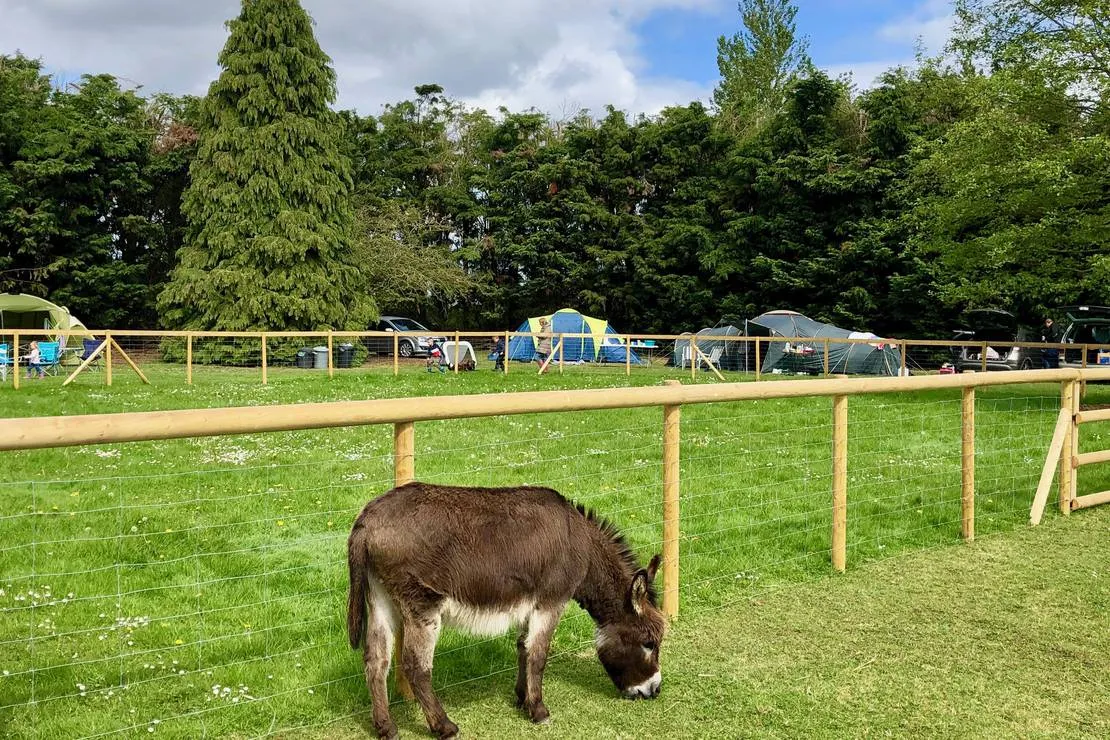 laurel-park-campsite-gedney-broadgate-xamf6