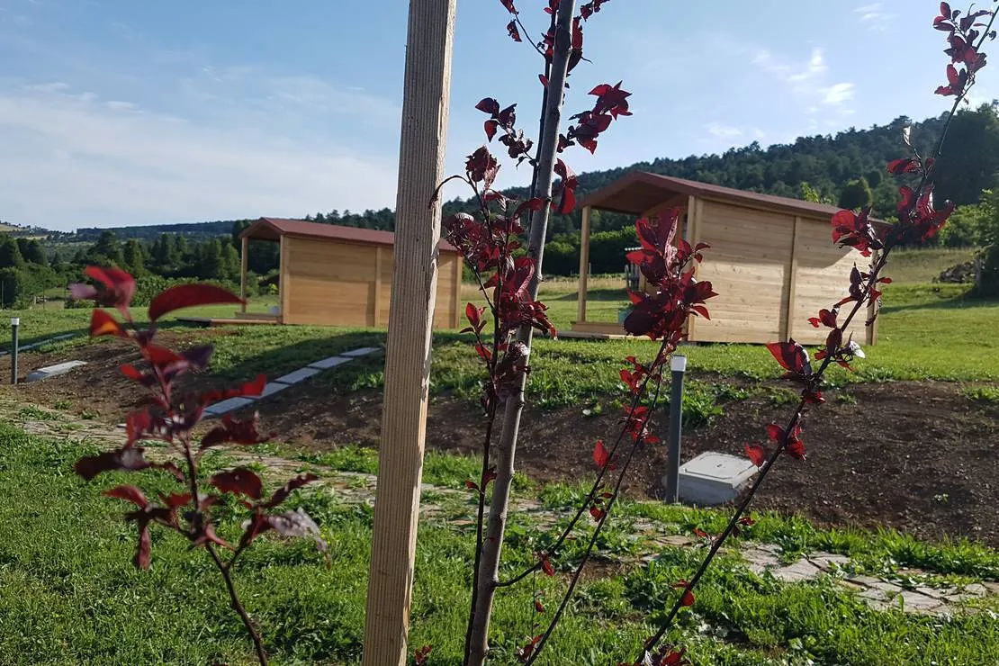 camping-glamping-the-sunrise-hill-pivka-pivka-gp6ci