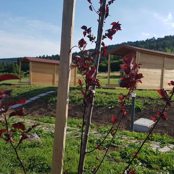 camping-glamping-the-sunrise-hill-pivka-pivka-gp6ci