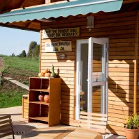 camping-glamping-the-sunrise-hill-pivka-pivka-mmco3
