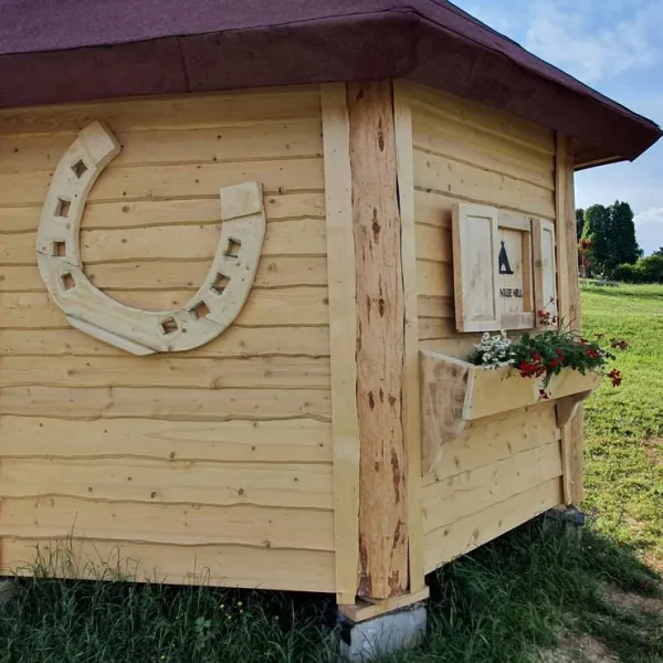 camping-glamping-the-sunrise-hill-pivka-pivka-nq7uy