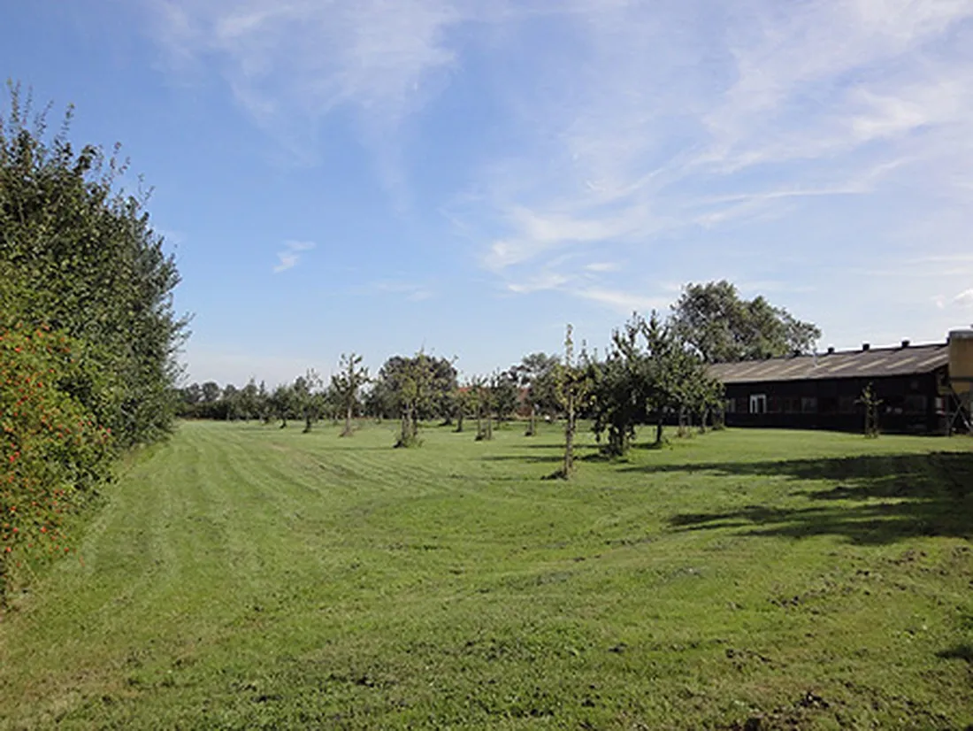 minicamping-de-vijver-oostkapelle-2mao4