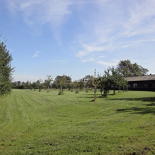 minicamping-de-vijver-oostkapelle-2mao4