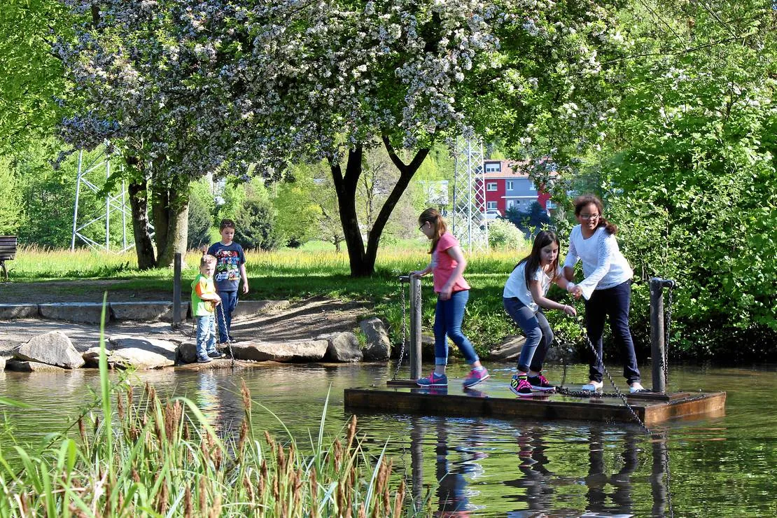 camping-lorrach-drei-lander-camp-lorrach-nahe-basel-rnddn