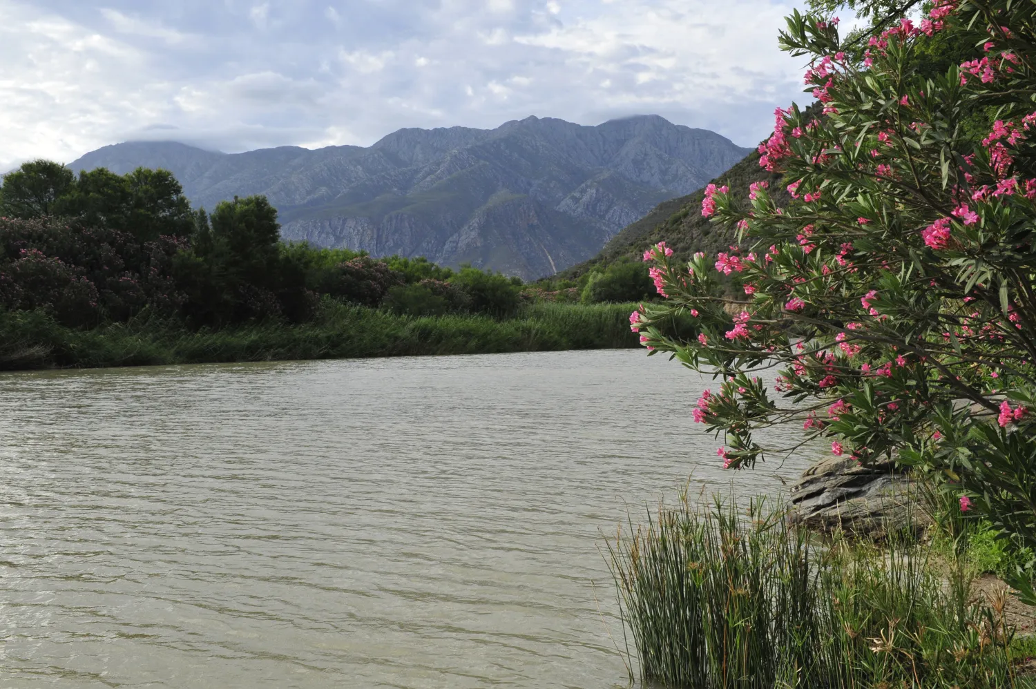 die-dam-river-camp-matjiesvlei-calitzdorp-9akjk