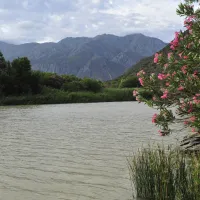 die-dam-river-camp-matjiesvlei-calitzdorp-9akjk