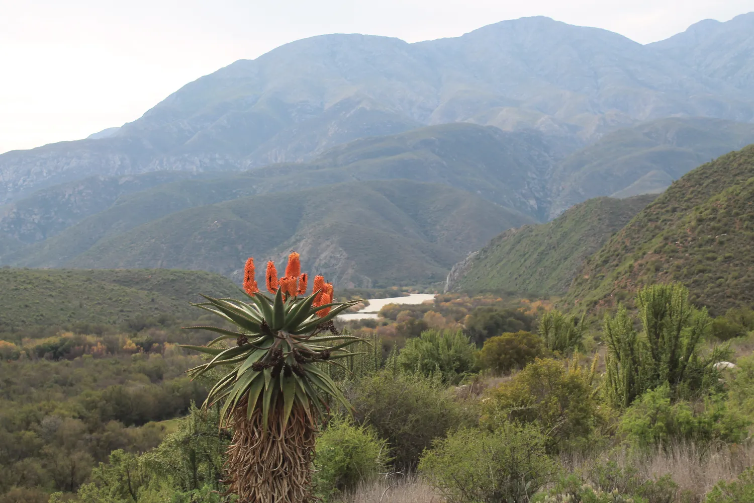 die-dam-river-camp-matjiesvlei-calitzdorp-nzgus