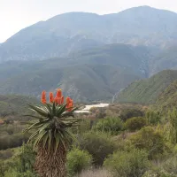 Die Dam River Camp (Matjiesvlei)