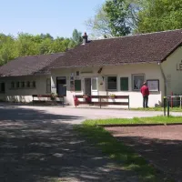 les-bouleaux-inor-nvtfh