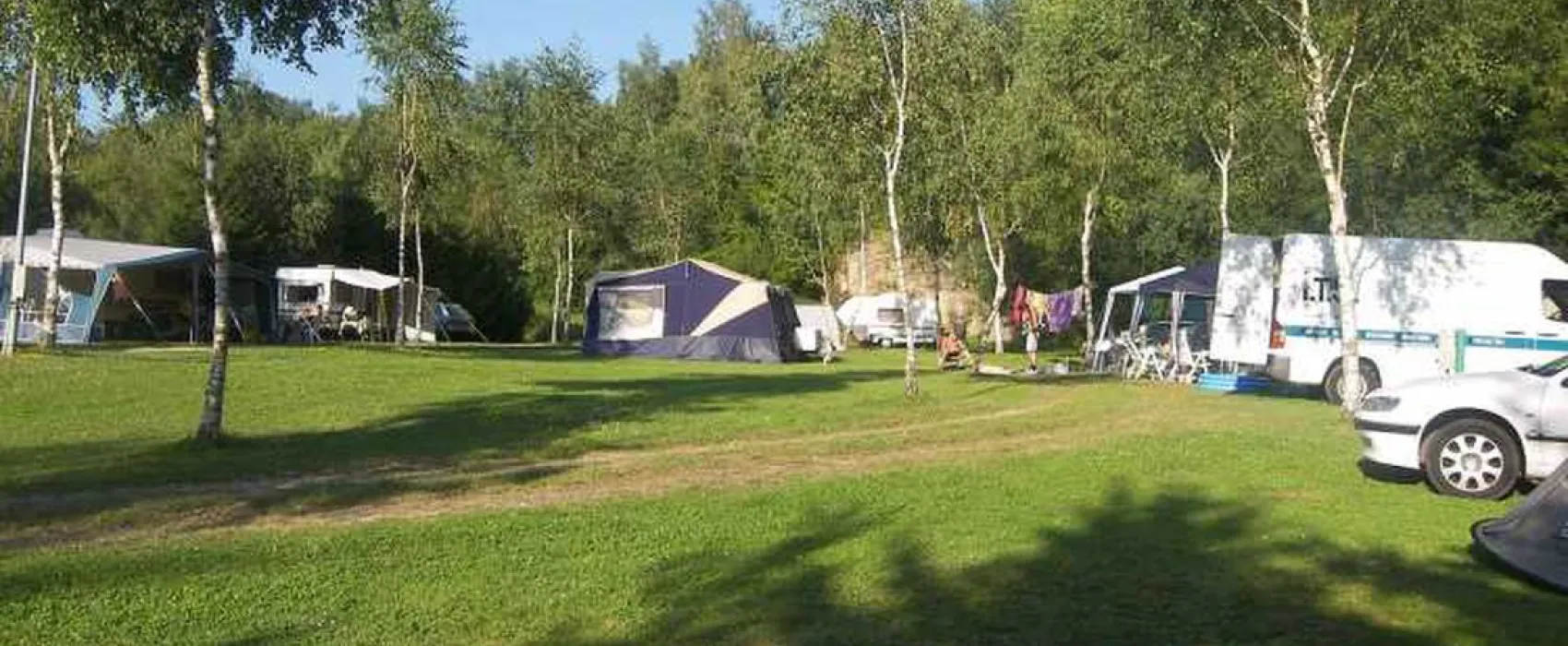 Les Bouleaux