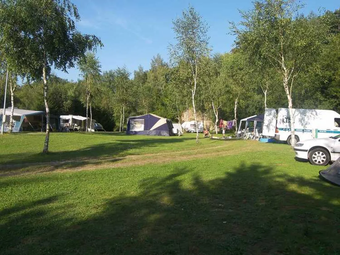 les-bouleaux-inor-xc7jg