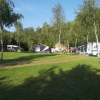 les-bouleaux-inor-xc7jg