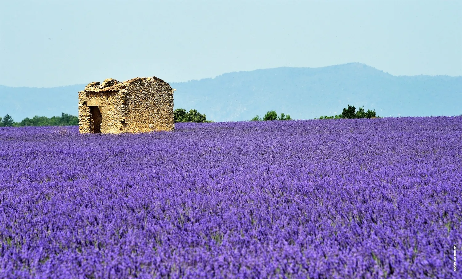 domaine-naturiste-du-petit-arlane-valensole-2qvnm
