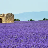 domaine-naturiste-du-petit-arlane-valensole-2qvnm