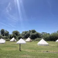 glamping-at-parley-by-pitchingit-bournemouth-vddsi