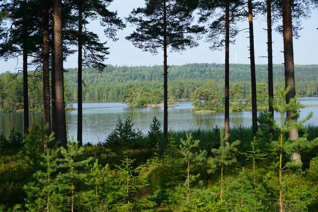 stromsnas-naturcamping-forsvik-cgavz