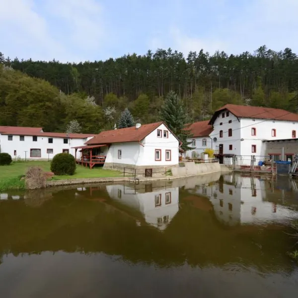 cechuv-mlyn-hrebecniky-35jwd