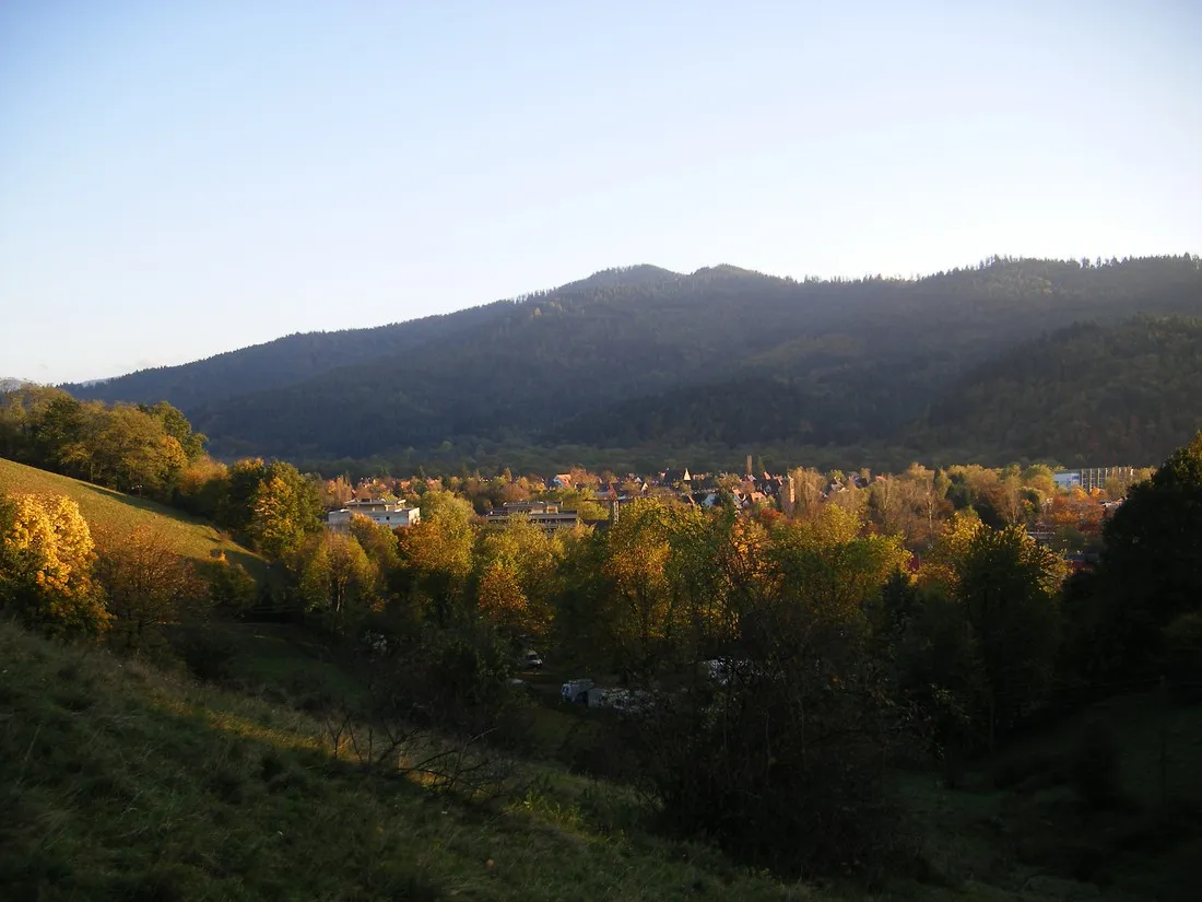 hirzberg-freiburg-im-breisgau-0pkxe