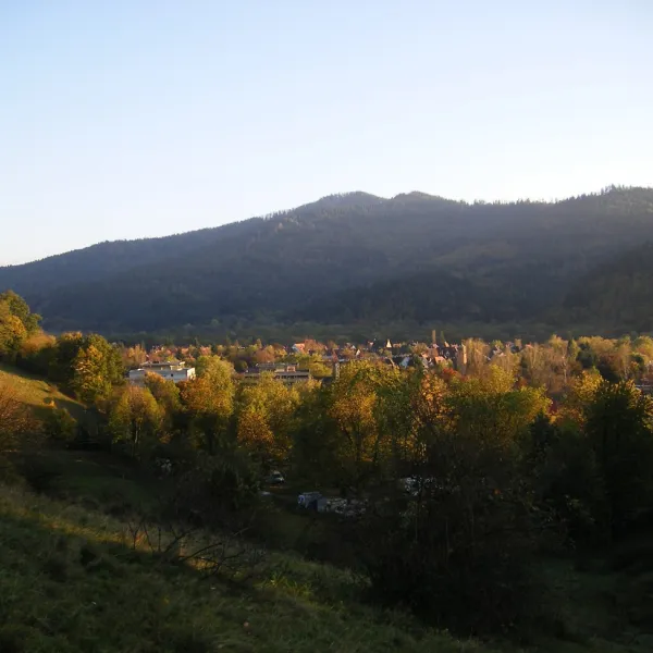 hirzberg-freiburg-im-breisgau-0pkxe