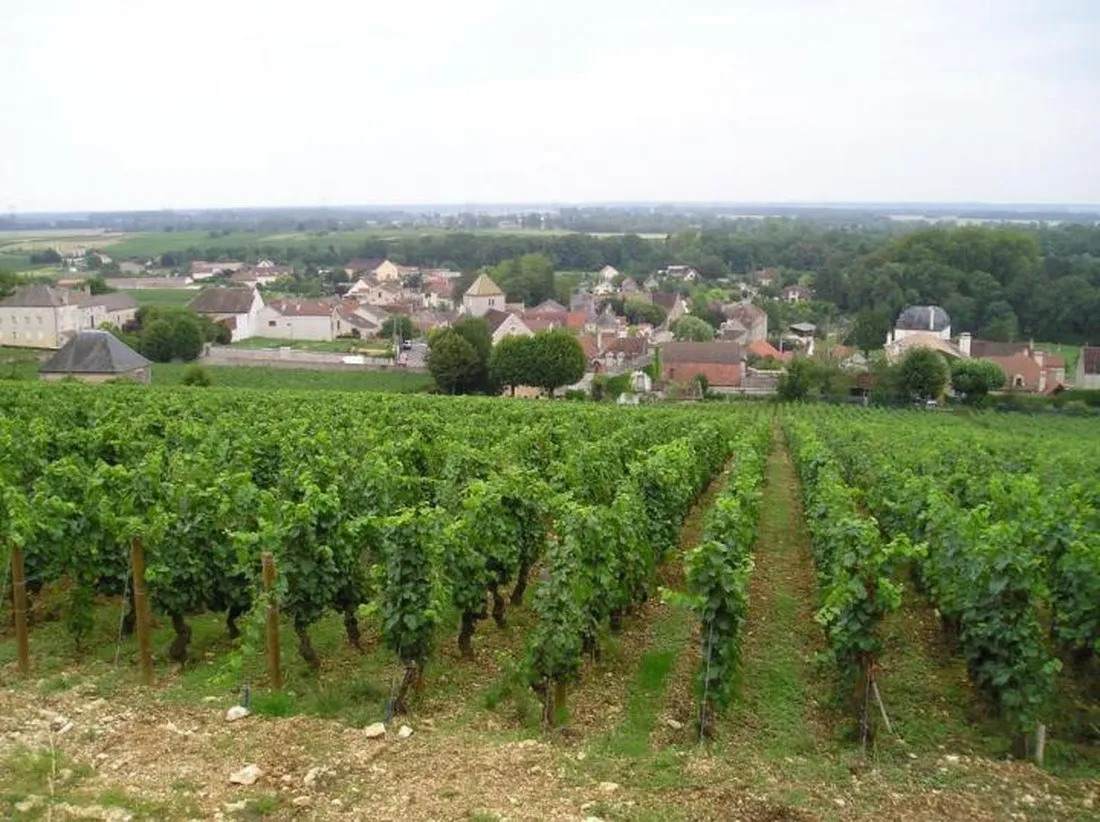 moulin-de-prissey-premeauxprissey-cw05f