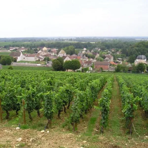 moulin-de-prissey-premeauxprissey-cw05f
