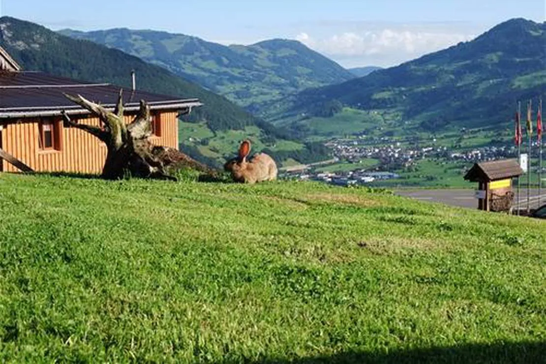ferienhof-ruti-morschach-unzuy