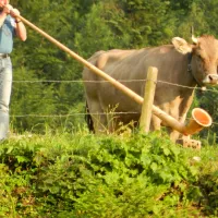 ferienhof-ruti-morschach-wgu4c