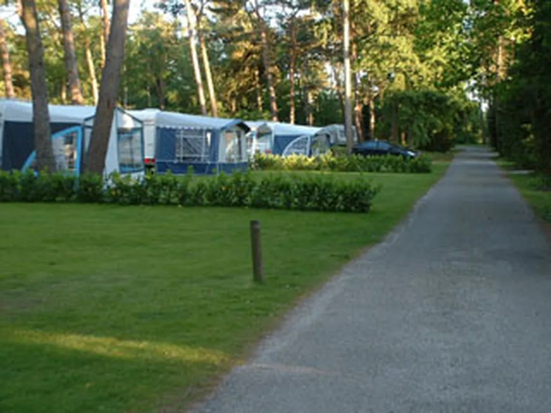 t-monnickenbosch-soest-8obhi