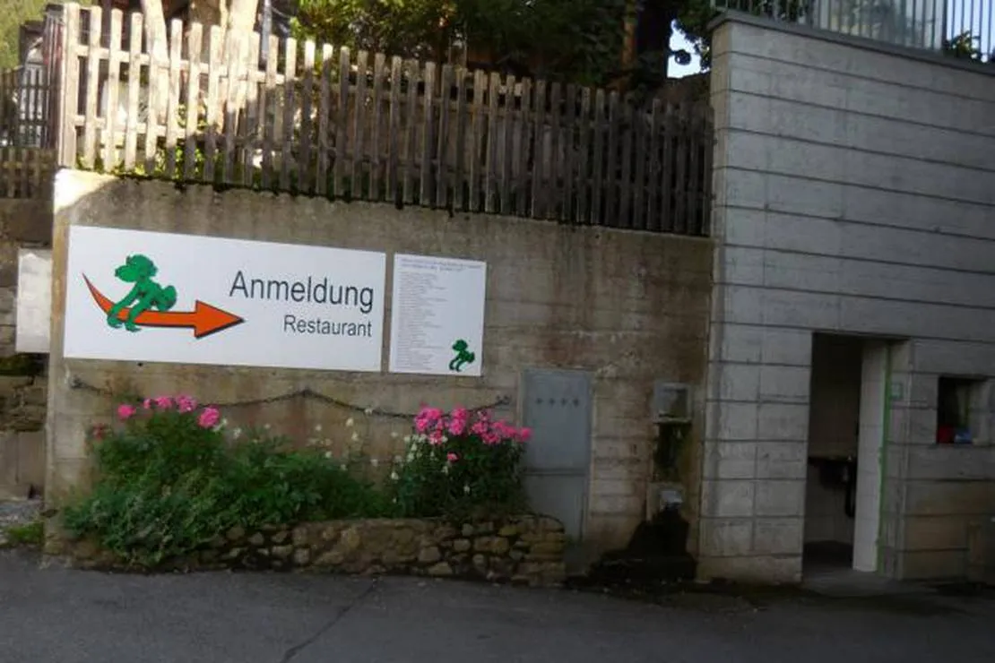 camping-gruene-aff-willerzell-b5nqo