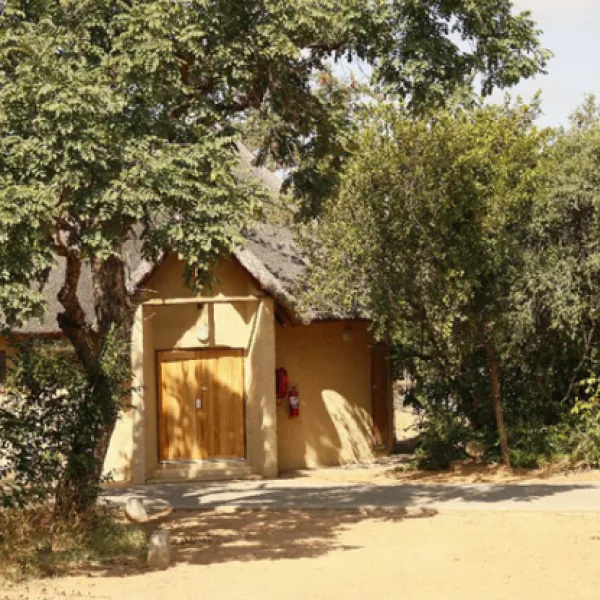 awelani-lodge-east-of-masisi-pafuri-gate-entrance-to-kruger-park-dyxex