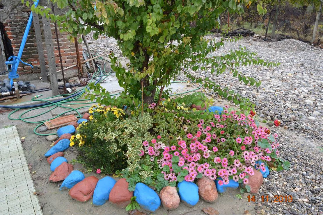 sunny-paradise-campsite-petrich-blagoevgrad-arnpr