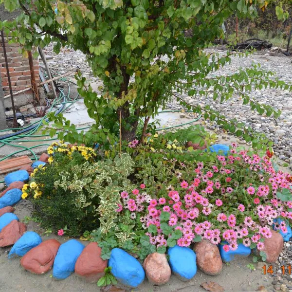 sunny-paradise-campsite-petrich-blagoevgrad-arnpr
