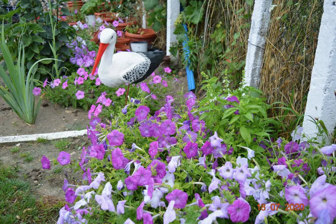 sunny-paradise-campsite-petrich-blagoevgrad-q9yxw
