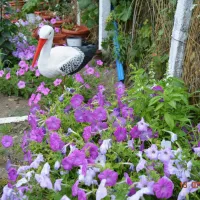 sunny-paradise-campsite-petrich-blagoevgrad-q9yxw