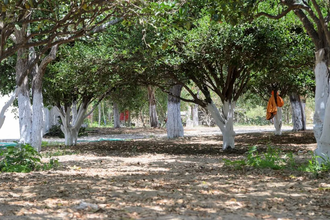 aegiali-camping-amorgos-i1umj