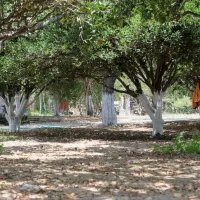 aegiali-camping-amorgos-i1umj
