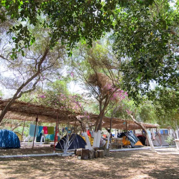 aegiali-camping-amorgos-jflvs