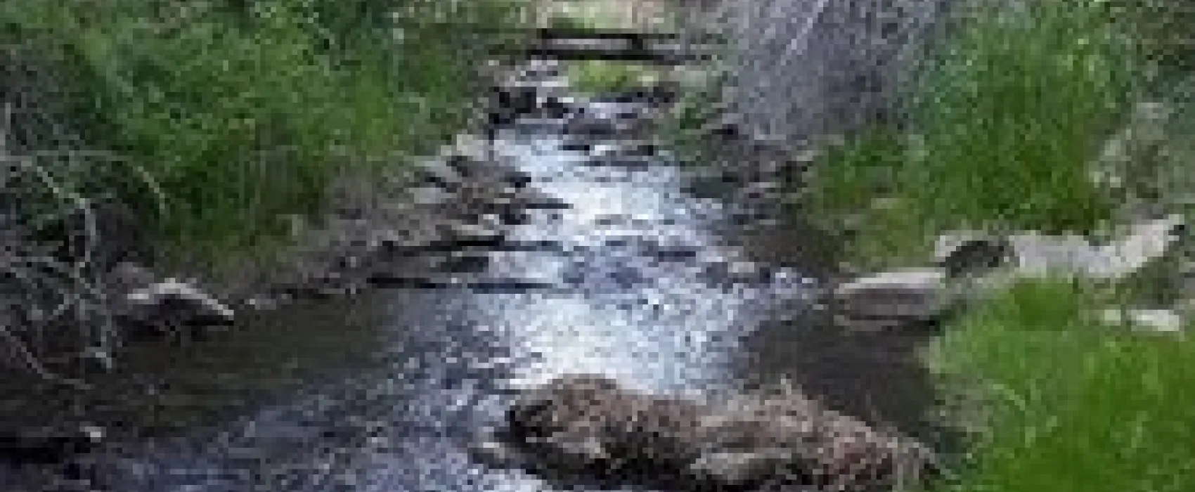 Sierra Village Lodge & RV Park