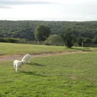 la-soubraud-chirat-leglise-bmd2y