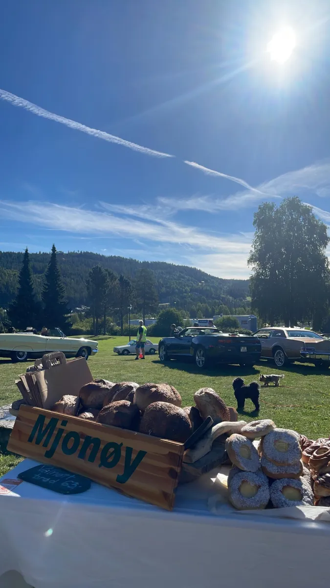 mjonoy-camping-vinje-fjd97