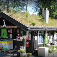Mjonøy Camping 