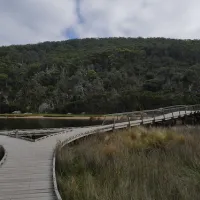 tidal-river-wilsons-promontory-campground-cdkh0