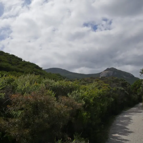 tidal-river-wilsons-promontory-campground-gzspf