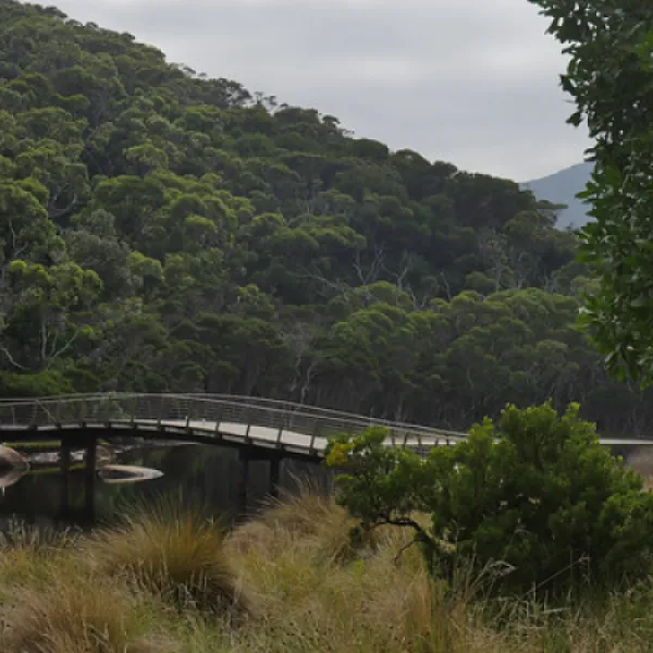 tidal-river-wilsons-promontory-campground-jm7ma