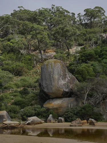 tidal-river-wilsons-promontory-campground-ynamq