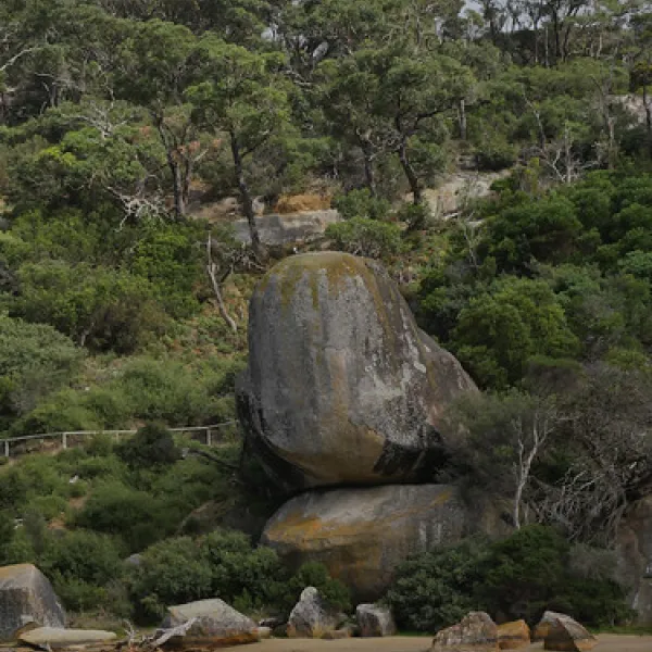 tidal-river-wilsons-promontory-campground-ynamq
