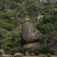 tidal-river-wilsons-promontory-campground-ynamq